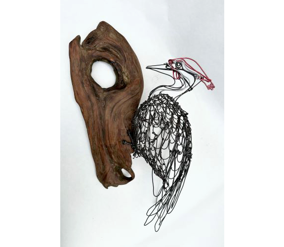 Colleen Cotey wire sculpture